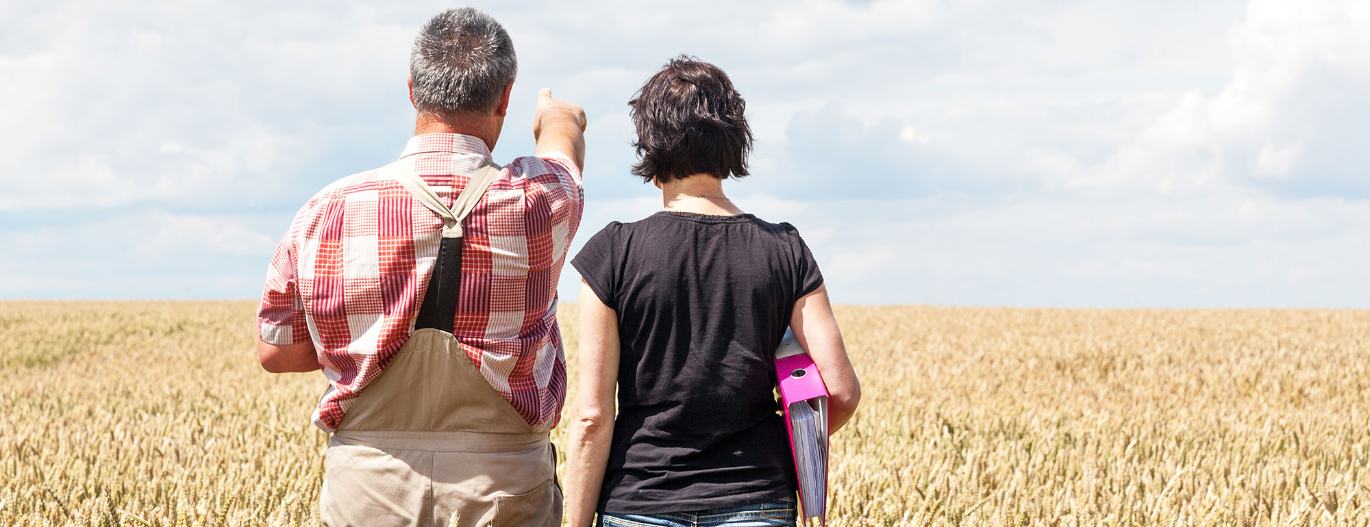 Pension-freiwillige-Versicherung-Banner.jpg