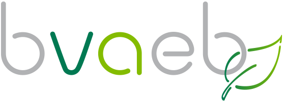 bvaeb_logo.png