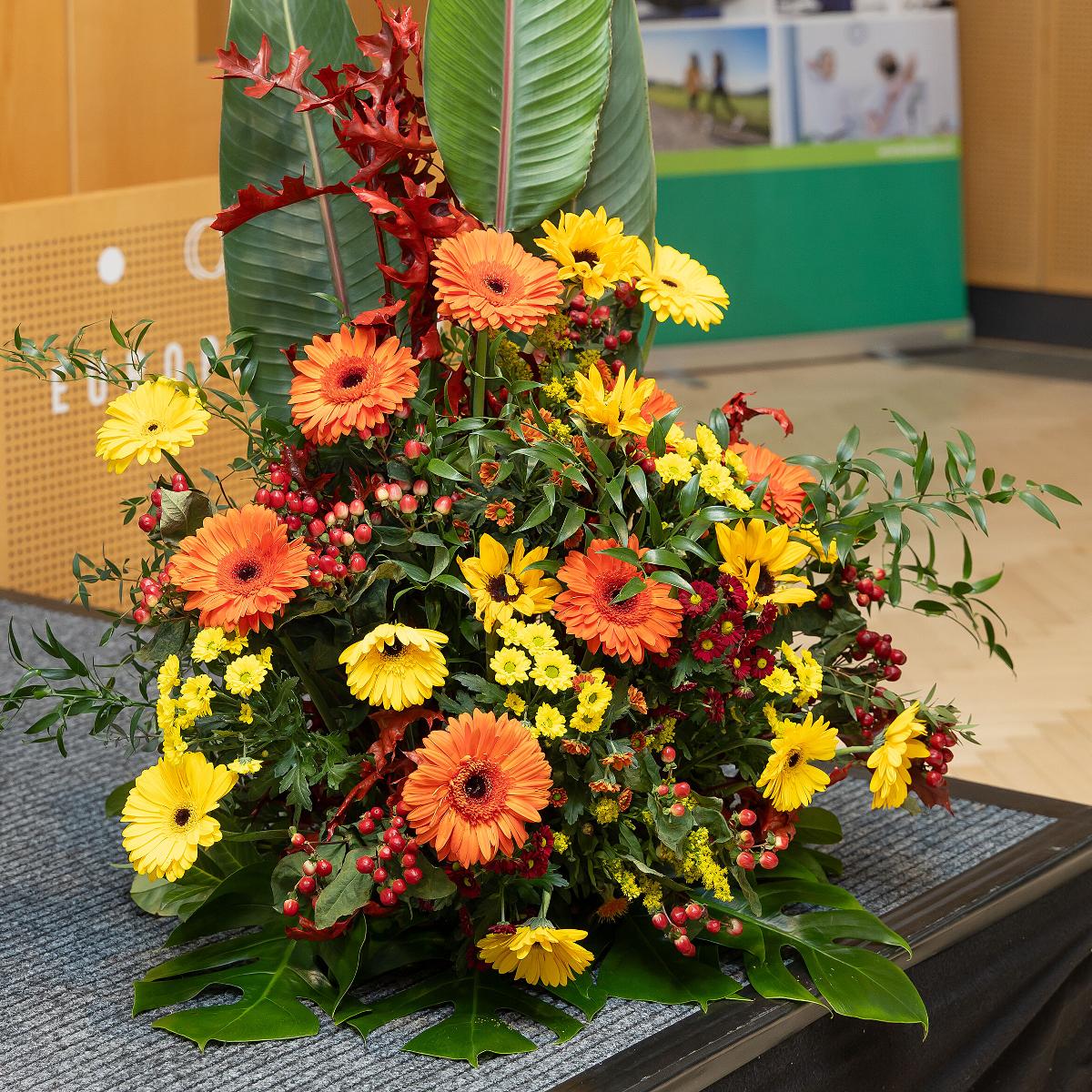 Mehr Informationen zum Thema: Fit und vital im Alter: 2. Symposium zur Seniorinnen- und Seniorengesundheit in Tirol