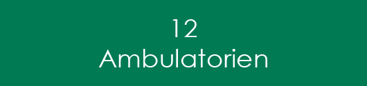 Mehr Informationen zum Thema: 12 BVAEB Ambulatorien